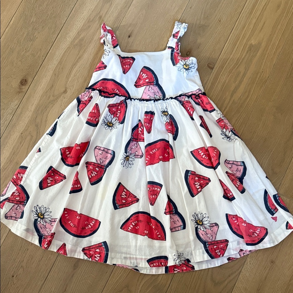 Pink Chicken Watermelon Dress